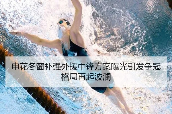 申花冬窗补强外援中锋方案曝光引发争冠格局再起波澜